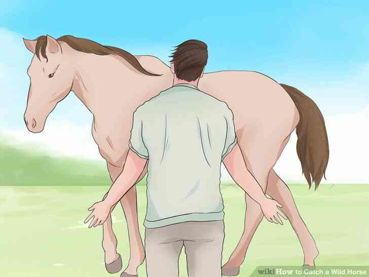 Image intitulée Attraper un Cheval Sauvage Étape 4